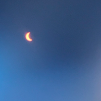 关于可以描述喜欢的人 的句子？