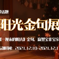 阳光金句展