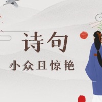 有哪些小众且惊人的诗句？