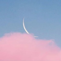 温柔而美好的句子