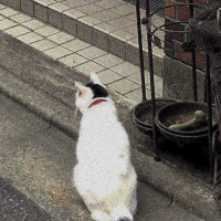 你最想在哪个城市度过晚年生活？为什么？