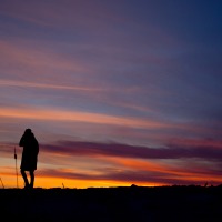 你曾因哪个句子而爱上一本书？