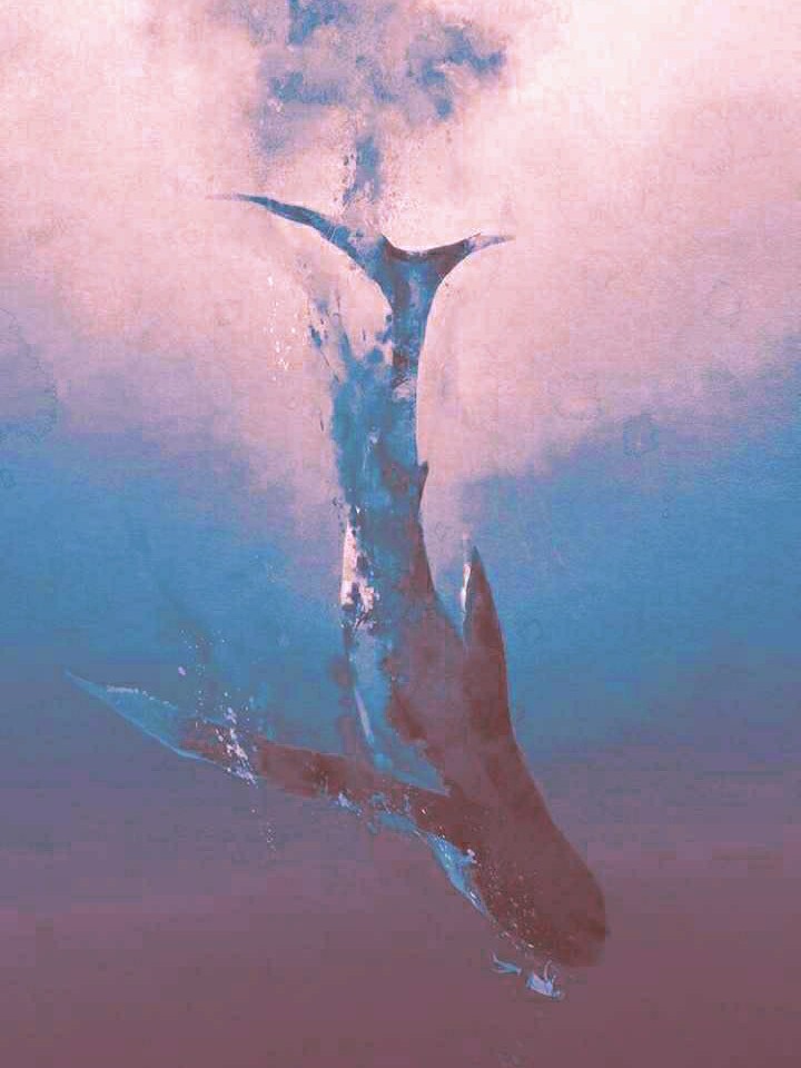 明