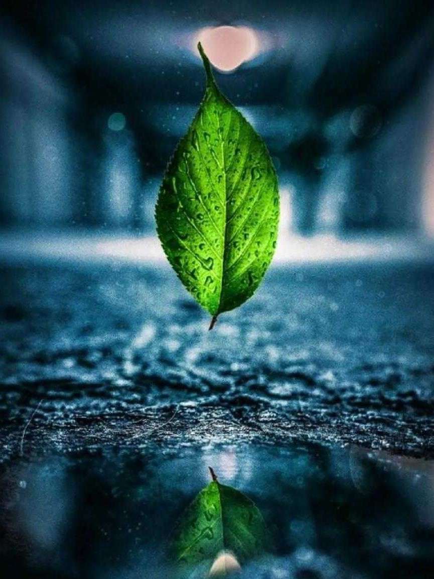 玛塞尔•索瓦热奥