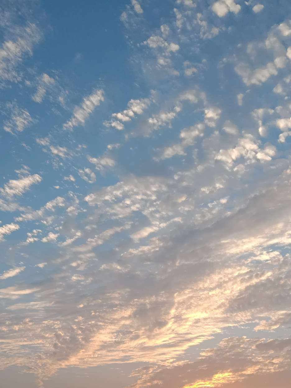 快手上不知名的网友