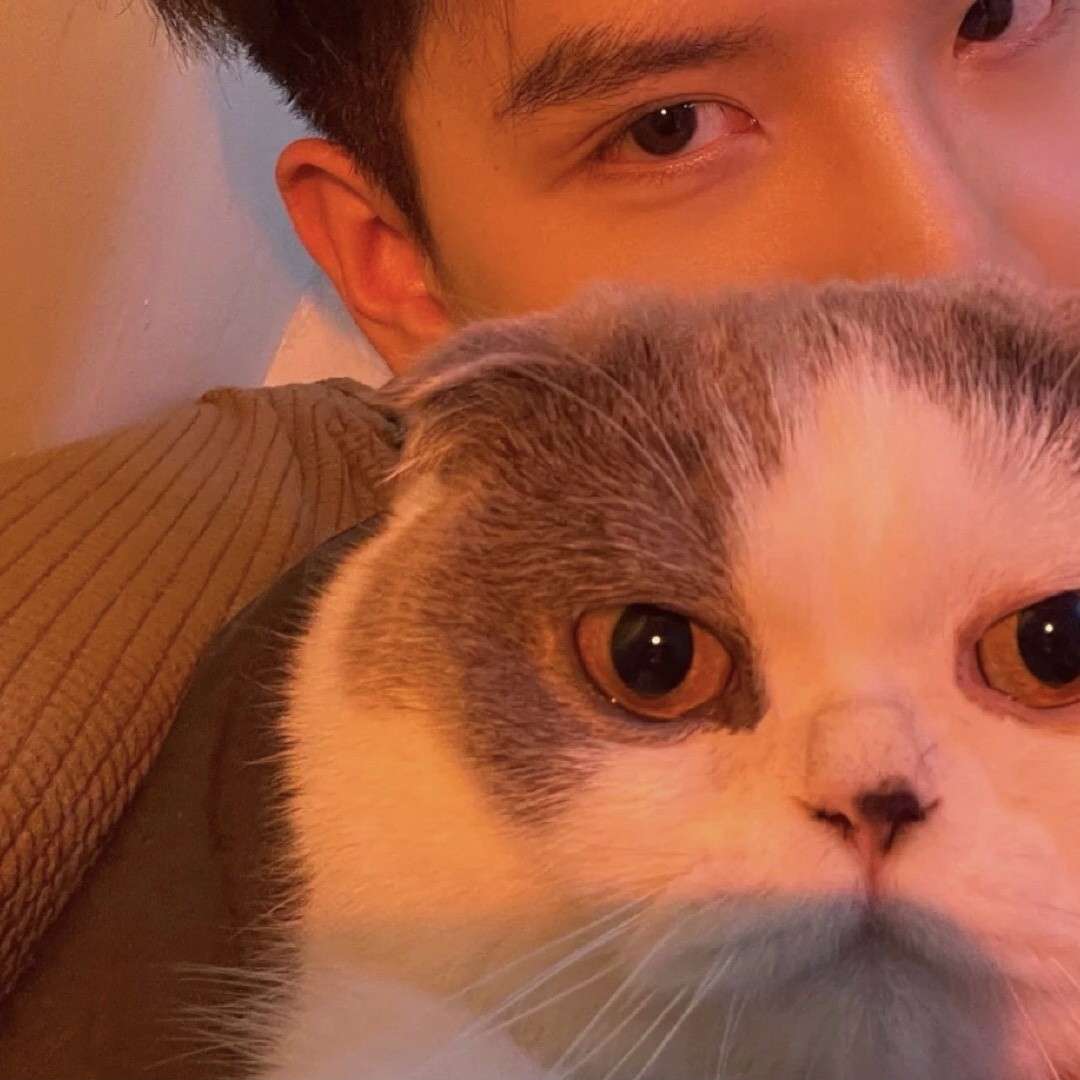 烛柯