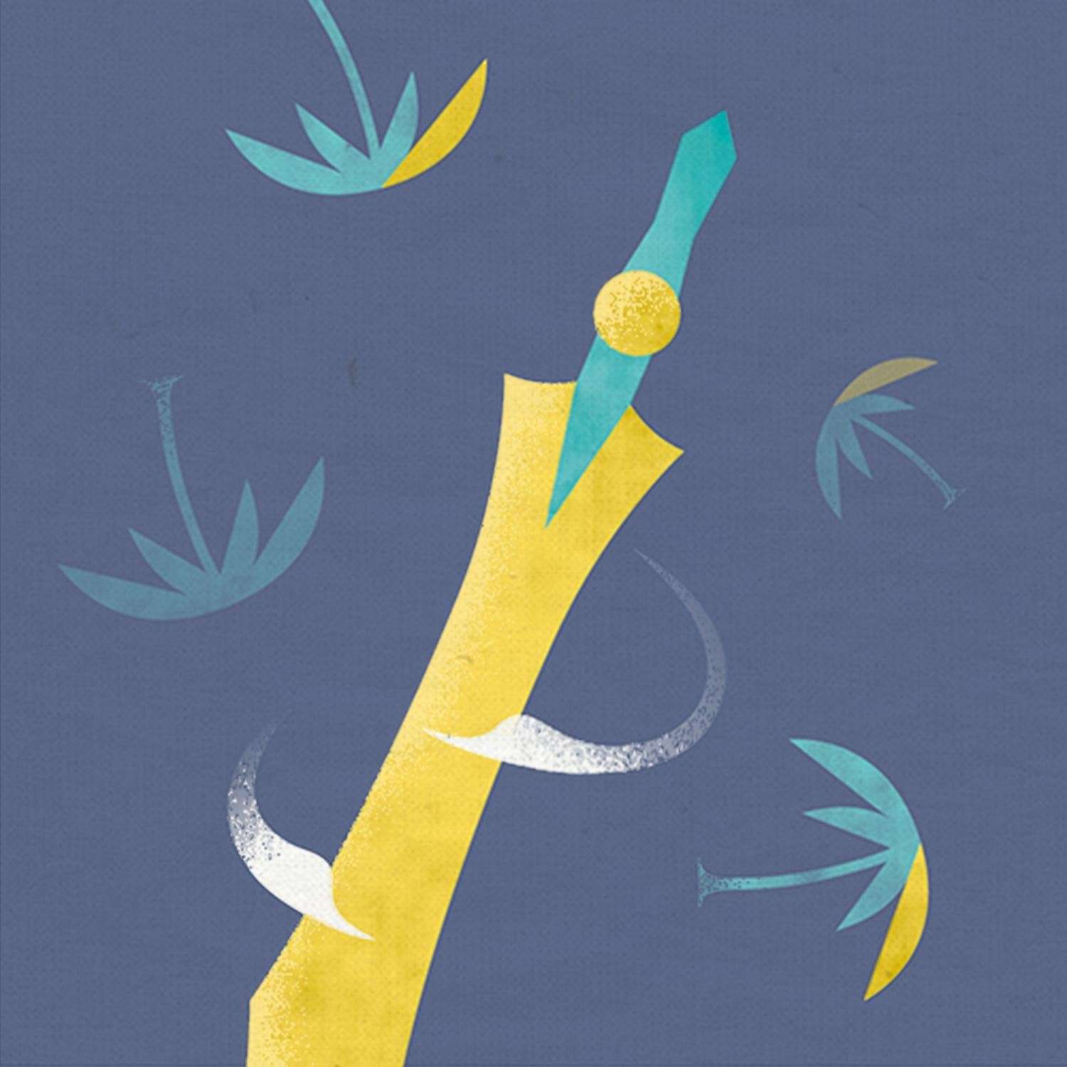 喜欢猴腿菜的夏玉