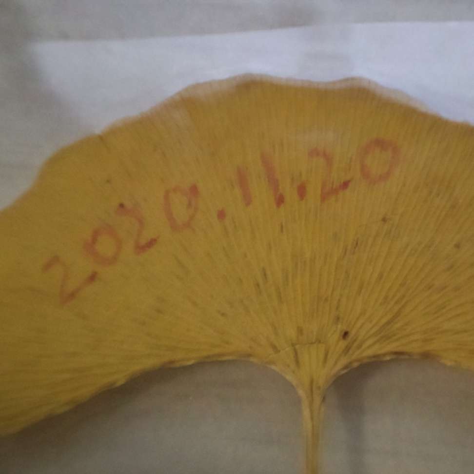 红烧刘肉面与他曾经的小娇妻