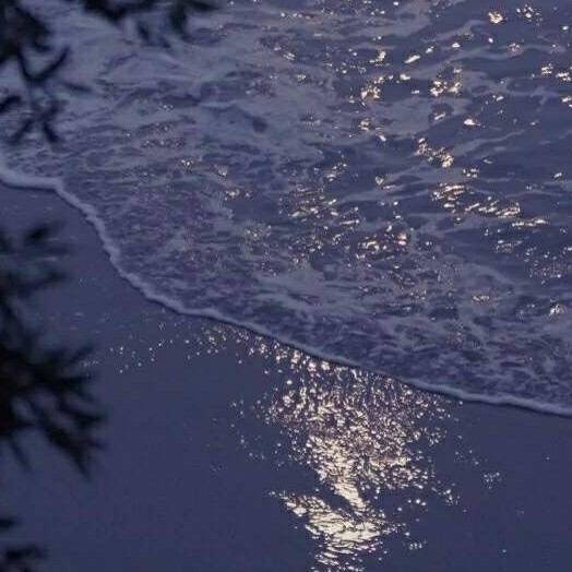 茴稚ᥫᩣ໌້ᮨ