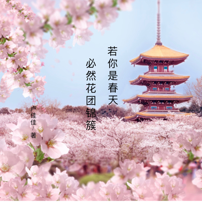 作家卢佳佳经典语录