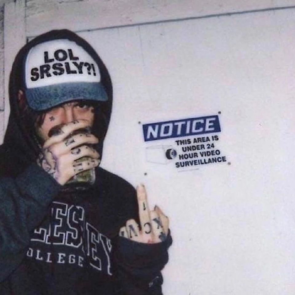 那家花店没有花