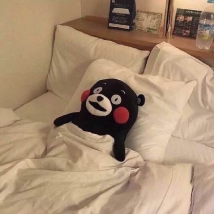 丫丫的小熊爱睡觉