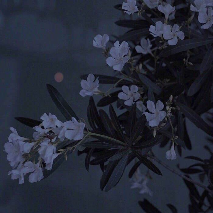 今天也要好好学习.