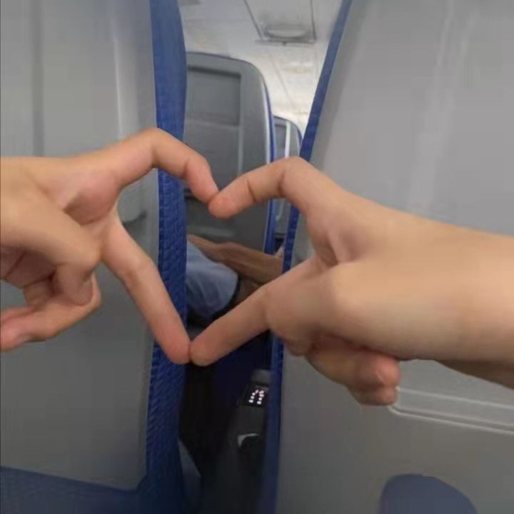 养一盆多肉但不要多肉