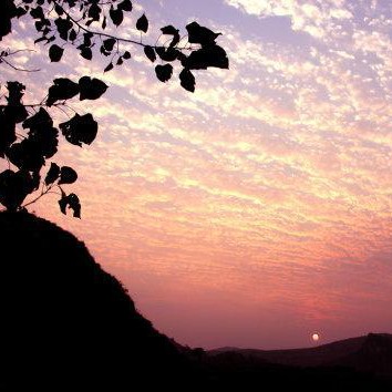 兰悦莲喜欢的句子