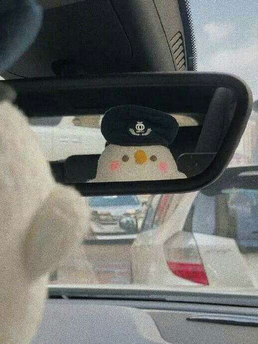 蛙蛙.
