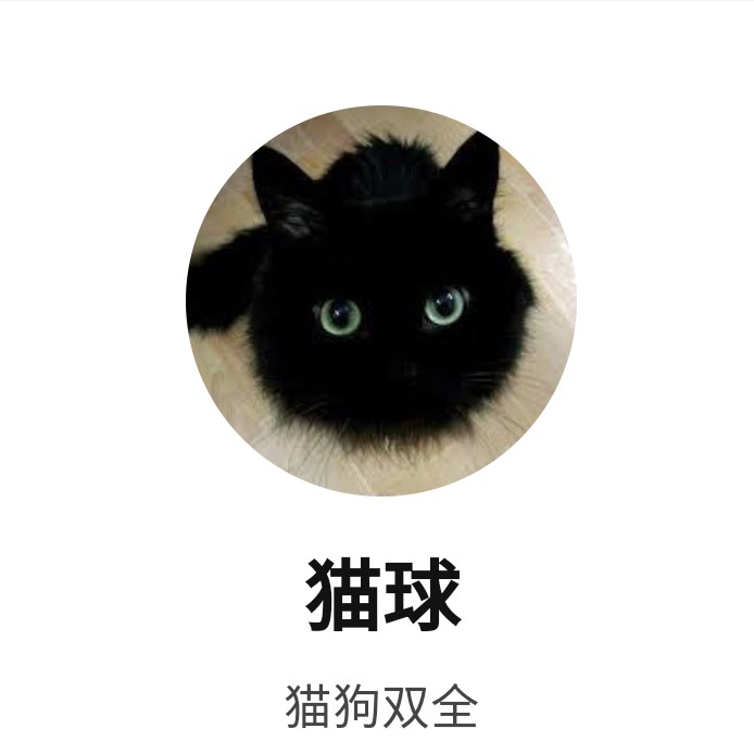 猫球
