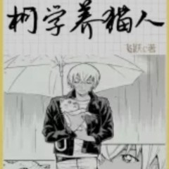 飞跃c