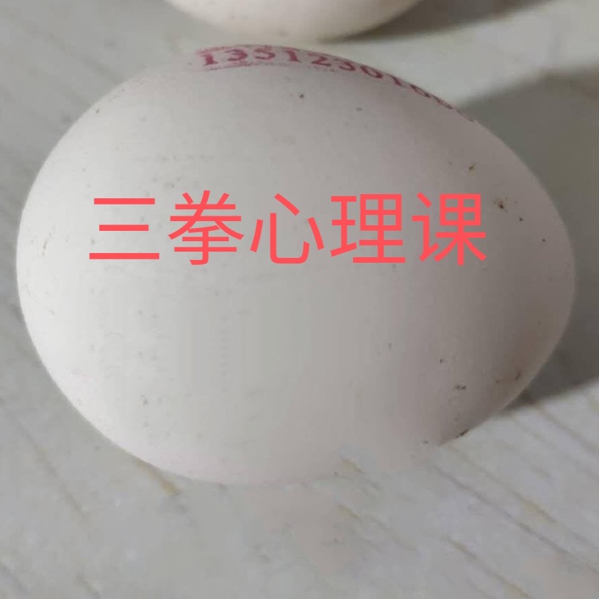 三拳心理课
