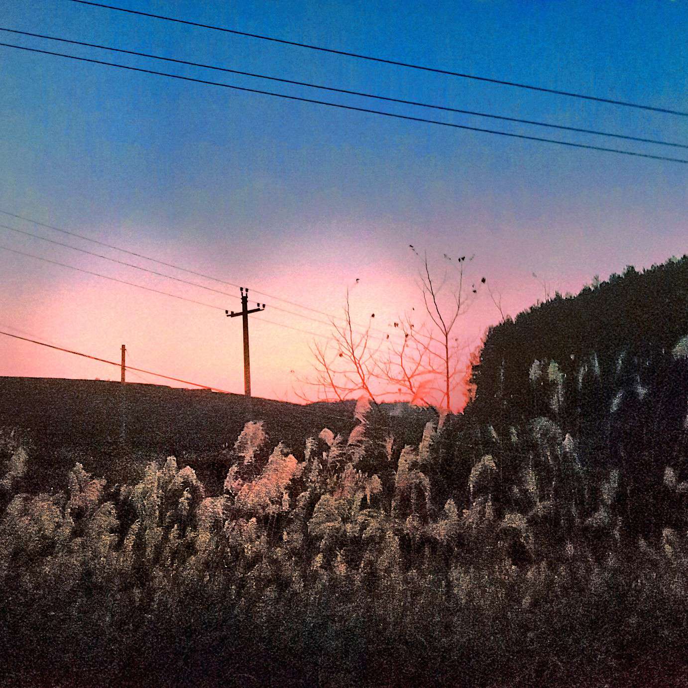 廾.