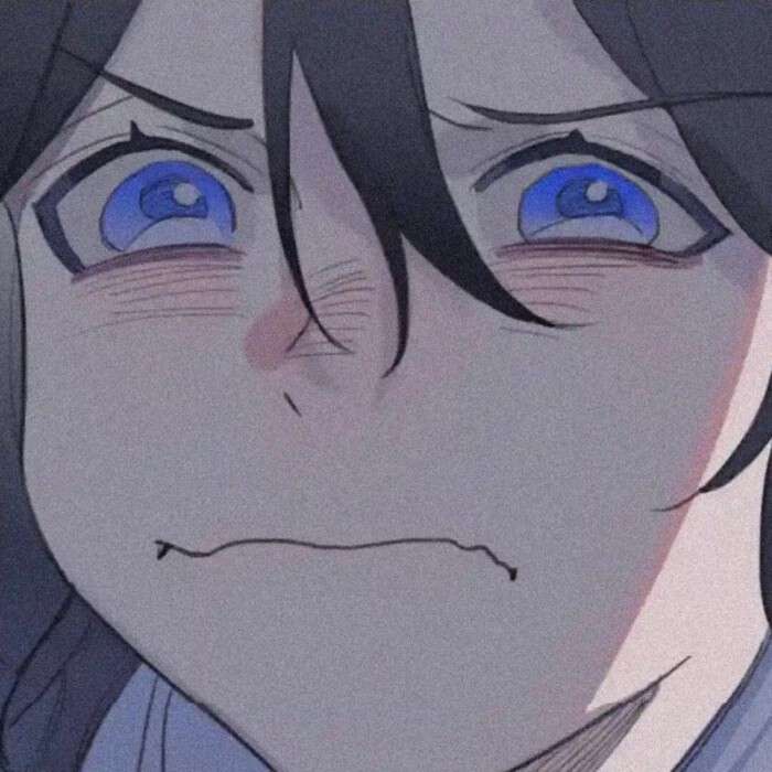 尽仙