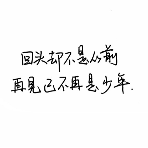 一只橘熊
