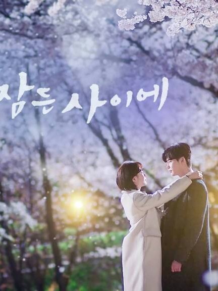 韩剧《当你沉睡时》