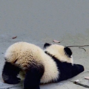 许.