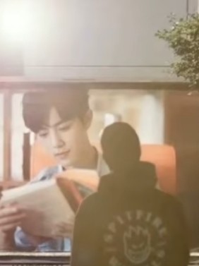 博肖爱情见证人