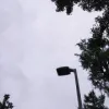 壳壳壳L