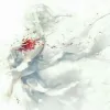 青木庭中
