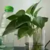 歌开人聚