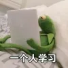 糖醋松鼠鱼_