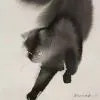 房东の猫