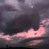 慕倾