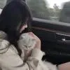 暗恋.