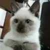 再见昨天~