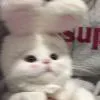 蘅仙.