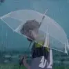 凉眸