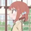 喜马拉雅达芬熊
