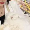 柚稚✨