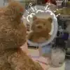 ㅤ