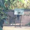 pe王