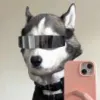 Y6