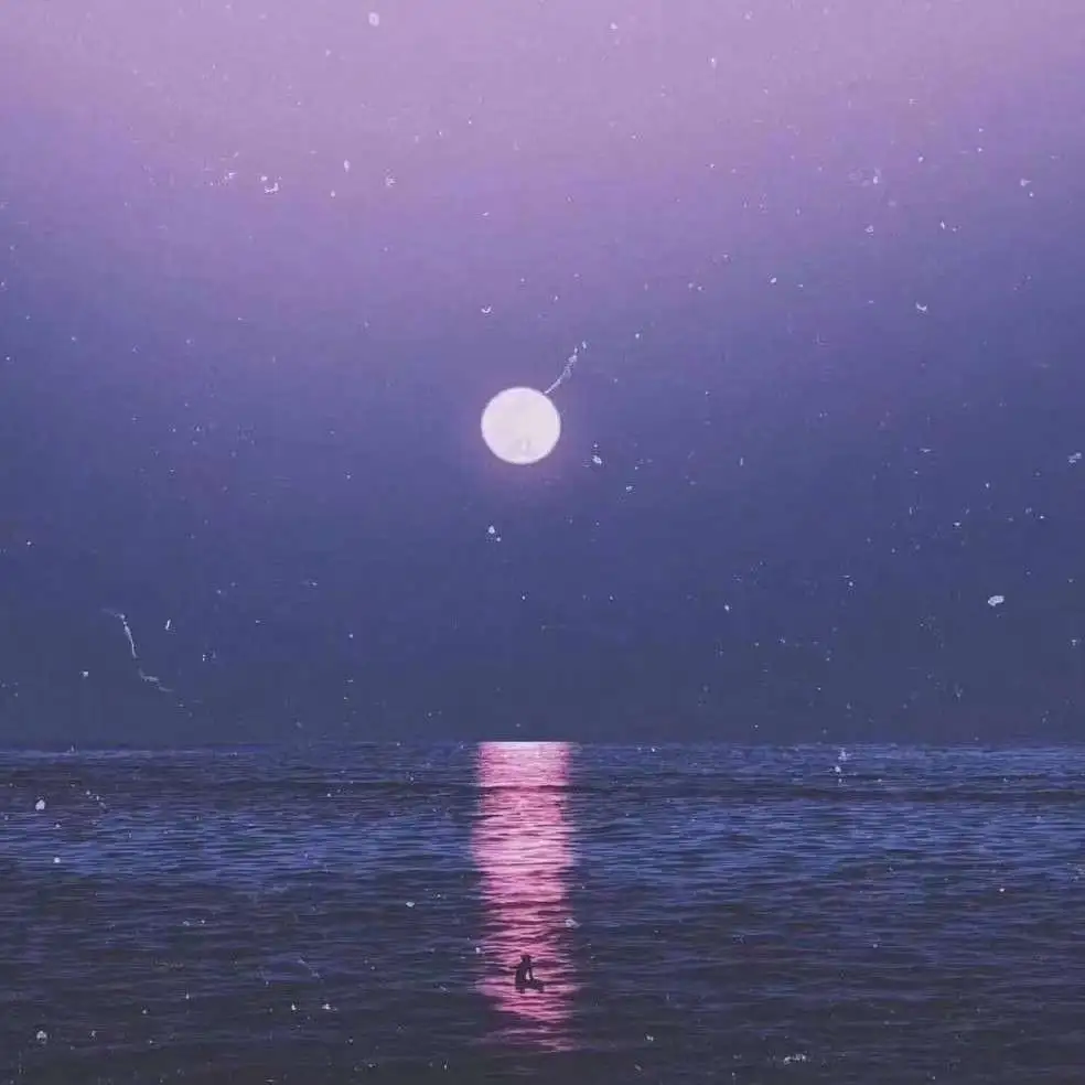 月夜 晚风 温柔