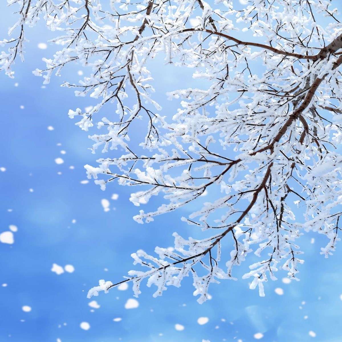 作文中可以写的文段