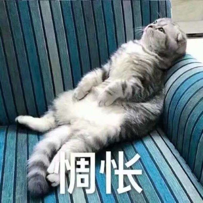 醒醒，别做梦了