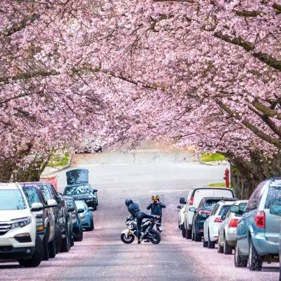 字里行间遇见你，遇见美好～