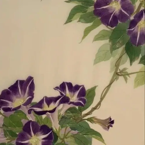 情绪低落的时候