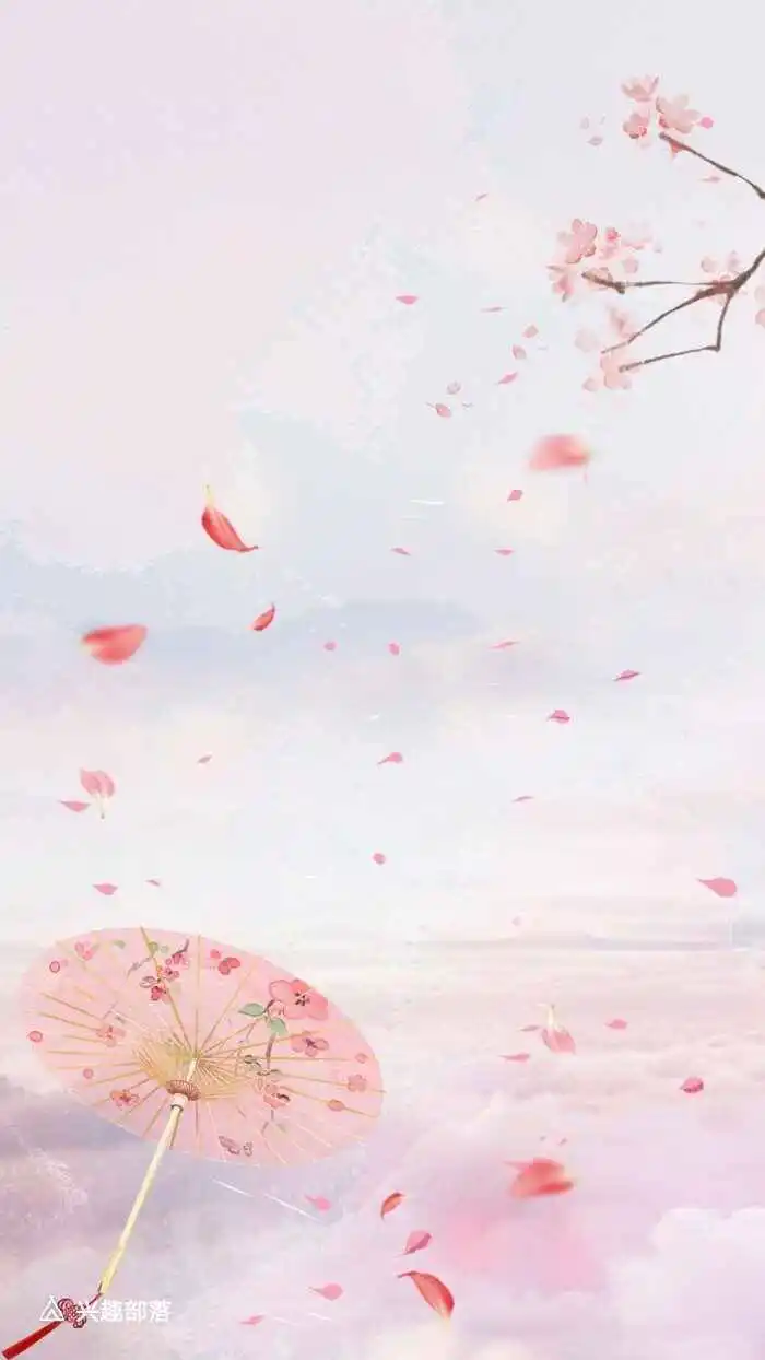 《国民校草是女生》